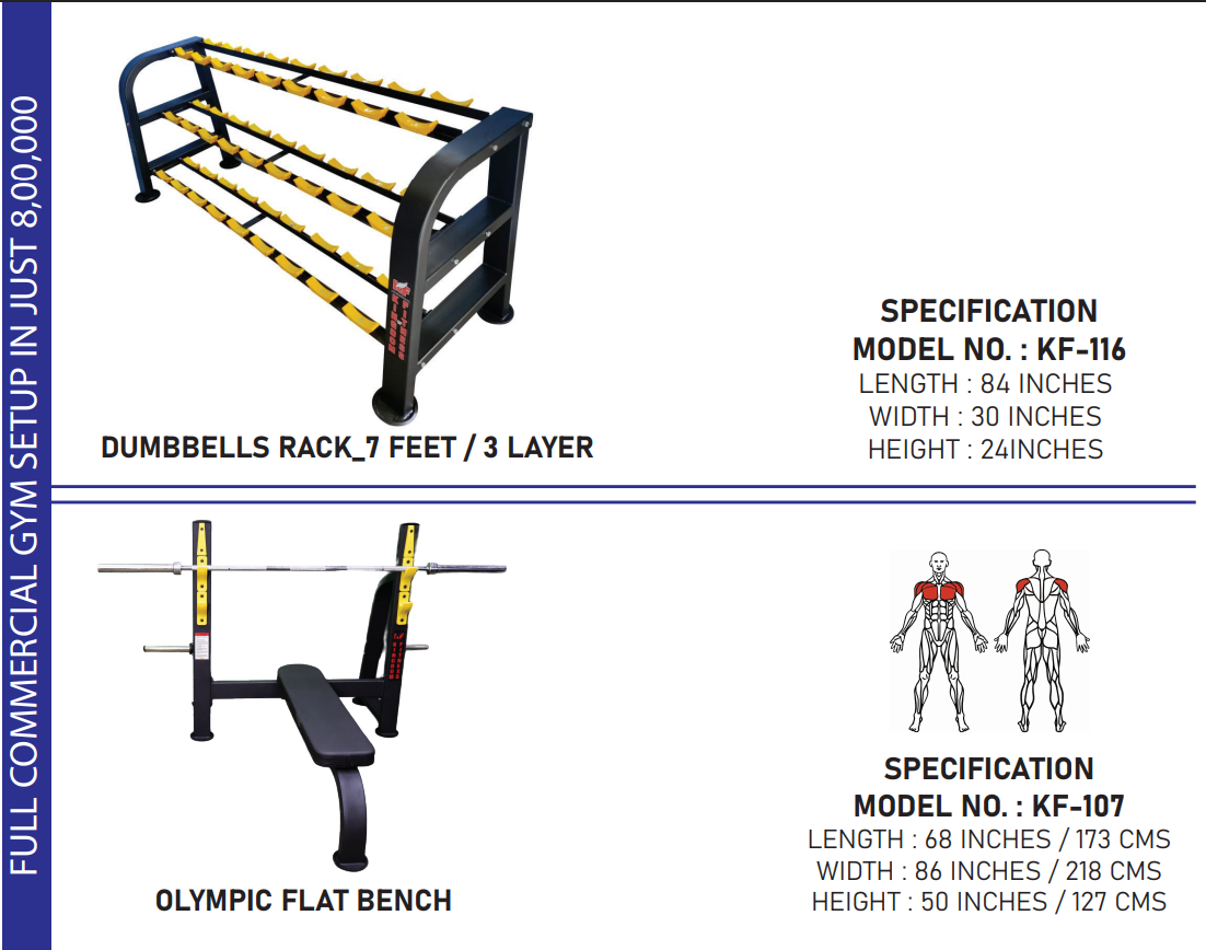 Professional Gym Stepup Packages
